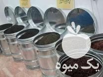 عرضه و فروش انواع چای ایرانی در چالوس در گروه خرید فروش عمده چای - سبز ترش کوهی سیاه در یکمیوه -عکس1
