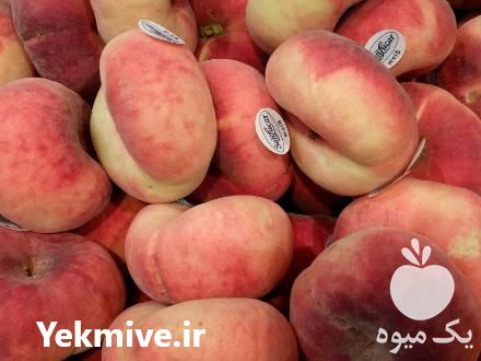 پیش فروش انواع نهال در بوئین زهرا در گروه خرید فروش نهال - انواع گردو پسته بادام سلطانی انگور در یکمیوه -عکس1