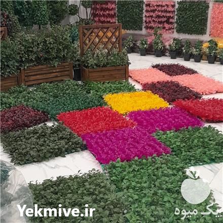 فروش دیوار سبز در تهران در گروه خرید فروش عمده گیاهان زینتی - گرمسیری آپارتمانی باغچه آب در یکمیوه -عکس1