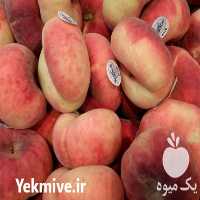 پیش فروش انواع نهال در بوئین زهرا در گروه خرید فروش نهال - انواع گردو پسته بادام سلطانی انگور در یکمیوه