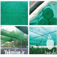 فروش توری شید در بوئین زهرا در گروه خرید فروش انواع پوشش ها و ورق ها - پلی استر پلی کربنات نایلون در یکمیوه