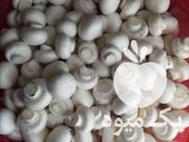 فروش پخش و تولید قارچ در محمدشهر در گروه خرید فروش عمده قارچ - دکمه ای خوراکی دارویی پرورشی کوهی در یکمیوه -عکس1