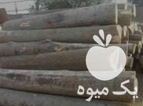 فروش انواع چوب در بروجرد در گروه خرید فروش عمده چوب و زغال- زغال چوب گردو تبریزی خام در یکمیوه -عکس1