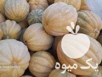 فروش کدو عمانی در همدان در گروه خرید فروش عمده کدو - سبز خورشتی بندر ورامین کرج سفید در یکمیوه -عکس1