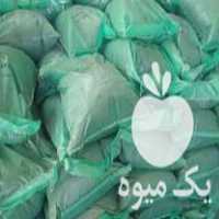 فروش خاک سینی نشا برنج خاک باکس نشا برنج در سنگر در گروه خرید فروش کود و مواد شیمیایی - اوره پتاس مرغی کمپوست آهن در یکمیوه