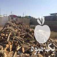 خرید انواع چوب درختان میوه در خضری دشت بیاض در گروه خرید فروش عمده چوب و زغال- زغال چوب گردو تبریزی خام در یکمیوه