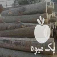 فروش انواع چوب در بروجرد در گروه خرید فروش عمده چوب و زغال- زغال چوب گردو تبریزی خام در یکمیوه