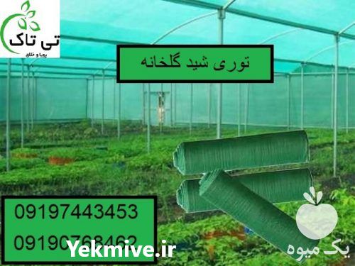 قیمت و خرید توری شید | توری سایه انداز | شید گلخانه در سمنان در گروه خرید فروش عمده انواع گل - پروش قاشقی موسی ساکولنت بن سای در یکمیوه -عکس1