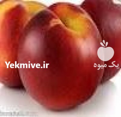 نهال شلیل انجیری در اصفهان در گروه خرید فروش نهال - انواع گردو پسته بادام سلطانی انگور در یکمیوه -عکس3