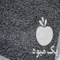 فروش بذر پیاز سفید محلی در بهشهر در گروه خرید فروش عمده پیاز - قرمز سفید زرد ترشی تازه انباری در یکمیوه