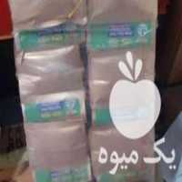 فروش دان مخلوط طوطی سانان لولو LOLO در نکا در گروه انواع پرنده - زینتی عروس هما مینا طوطی مرغ عشق در یکمیوه