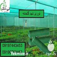 قیمت و خرید توری شید | توری سایه انداز | شید گلخانه در سمنان در گروه خرید فروش عمده انواع گل - پروش قاشقی موسی ساکولنت بن سای در یکمیوه
