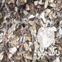 فروش تفاله پنبه خوراک دام کاه یونجه در اصفهان در گروه خوراک دام و طیور - پرواری شیری علوفه یونجه در یکمیوه