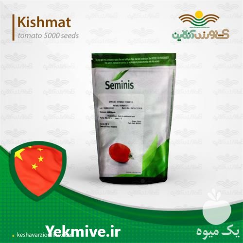 خرید بذر گوجه فرنگی کیش مات در تهران در گروه خرید فروش بذر - انواع محصول کشاورزی گوجه کتان میوه درخت در یکمیوه -عکس1