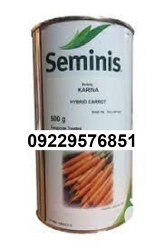 فروش و توزیع بذر هویج کارینا پر فروش اصل در بوشهر در گروه خرید فروش بذر - انواع محصول کشاورزی گوجه کتان میوه درخت در یکمیوه -عکس1