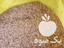 فروش شلتوک برنج هاشمی کشت دوم در آستانه اشرفیه در گروه خرید فروش عمده برنج - نیم دانه عنبر بو هاشمی کاظمی هندی پاکستانی در یکمیوه -عکس1