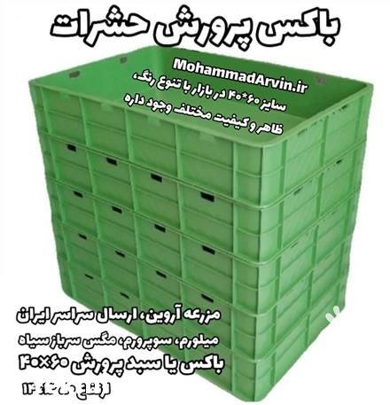 فروش سبد پرورش ارتفاع 10 سانت در کرج در گروه خرید فروش انواع سبد - میوه پلاستیکی چوبی گل در یکمیوه -عکس1