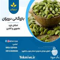 فروش هل اکبر بنفش در تهران در گروه خرید فروش عمده گیاهان دارویی - محصول گلخانه در یکمیوه