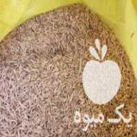 فروش شلتوک برنج هاشمی کشت دوم در آستانه اشرفیه در گروه خرید فروش عمده برنج - نیم دانه عنبر بو هاشمی کاظمی هندی پاکستانی در یکمیوه