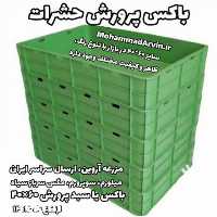 فروش سبد پرورش ارتفاع 10 سانت در کرج در گروه خرید فروش انواع سبد - میوه پلاستیکی چوبی گل در یکمیوه