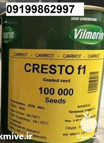 فروش بذر هویج ویلمورین اصل در هرمز در گروه خرید فروش بذر - انواع محصول کشاورزی گوجه کتان میوه درخت در یکمیوه -عکس1