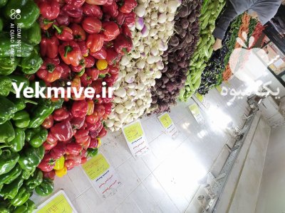 باربارکن در بندرعباس در گروه بار بارکن خرید و فروش عمده محصولات کشاورزی باربارکن میوه گوجه در یکمیوه -عکس1