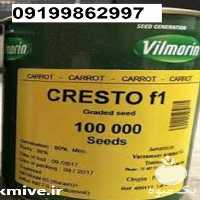 فروش بذر هویج ویلمورین اصل در هرمز در گروه خرید فروش بذر - انواع محصول کشاورزی گوجه کتان میوه درخت در یکمیوه