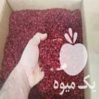 آگهی مشابه فروش زرشک پفکی امسالی در مشهد در گروه خرید فروش عمده ازگیل و تمشک و زرشک - ژاپنی فروش مستقیم در یکمیوه