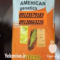 فروش بذر ذرت خارجی در تهران در گروه خرید فروش بذر - انواع محصول کشاورزی گوجه کتان میوه درخت در یکمیوه