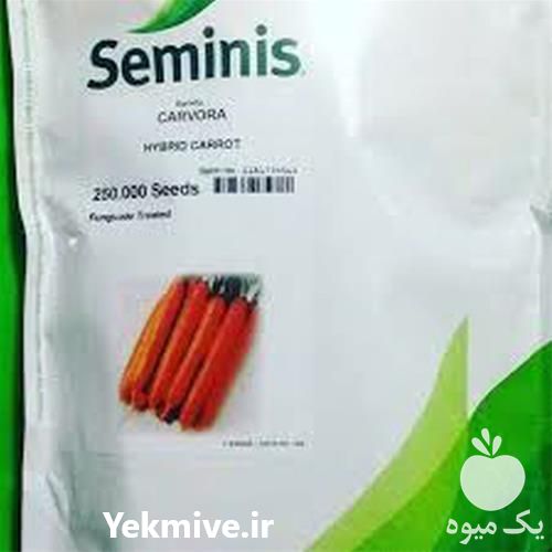 فروش کاروا بذر هویج در تهران در گروه خرید فروش بذر - انواع محصول کشاورزی گوجه کتان میوه درخت در یکمیوه -عکس1