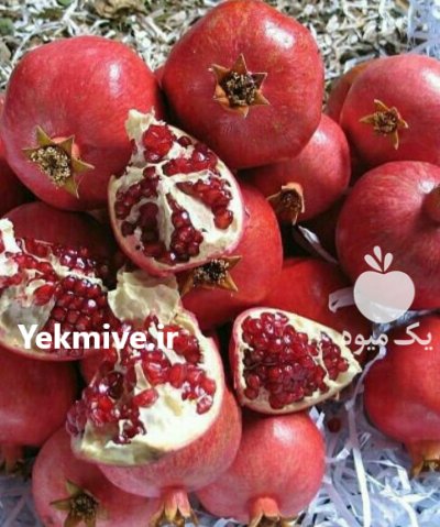 فروش نهال انار نادری بادرود در کرج در گروه خرید فروش نهال - انواع گردو پسته بادام سلطانی انگور در یکمیوه -عکس2