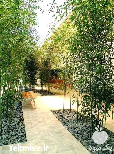 فروش Roof Garden بام سبز در تهران در گروه سازنده - گلخانه باغ مدرن سالن صنعتی سوله انبار در یکمیوه -عکس1