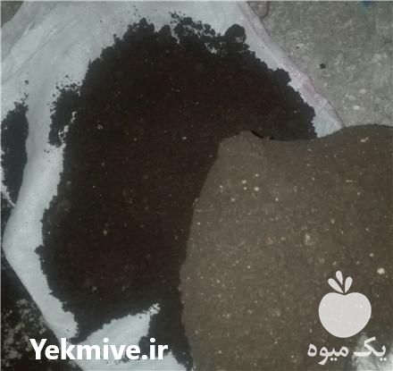 فروش کود خفاش صد در صد خالص ایرانی در بهشهر در گروه خرید فروش کود و مواد شیمیایی - اوره پتاس مرغی کمپوست آهن در یکمیوه -عکس1
