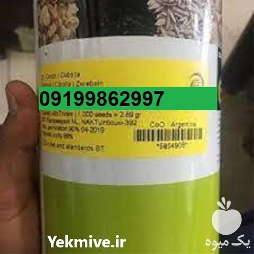 قیمت فروش بذر پیاز مینروا با عملکرد مناسب در بوشهر در گروه خرید فروش بذر - انواع محصول کشاورزی گوجه کتان میوه درخت در یکمیوه -عکس1