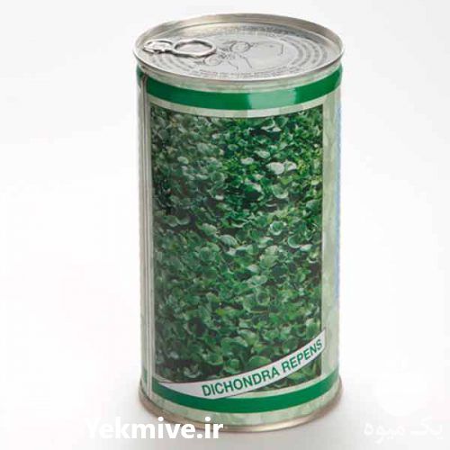 فروش بذر چمن دایکوندرا در تهران در گروه خرید فروش بذر - انواع محصول کشاورزی گوجه کتان میوه درخت در یکمیوه -عکس1