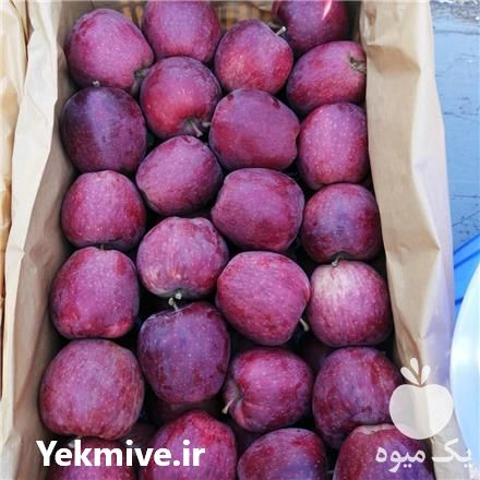فروش سیب سوپر سفید و قرمز میانه در محمدشهر در گروه خرید فروش عمده سیب - زرد و قرمز گلاب پاییزه در یکمیوه -عکس1