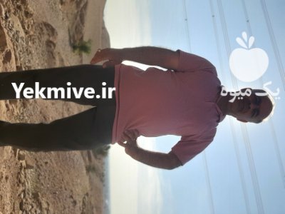 فروشنده صیفی‌جات در خوزستان در گروه خرید فروش عمده گل کلم - سفید بنفش شور ترشی در یکمیوه -عکس1