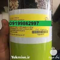 قیمت فروش بذر پیاز مینروا با عملکرد مناسب در بوشهر در گروه خرید فروش بذر - انواع محصول کشاورزی گوجه کتان میوه درخت در یکمیوه