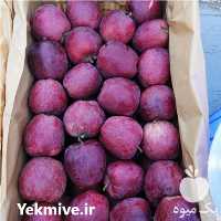 فروش سیب سوپر سفید و قرمز میانه در محمدشهر در گروه خرید فروش عمده سیب - زرد و قرمز گلاب پاییزه در یکمیوه