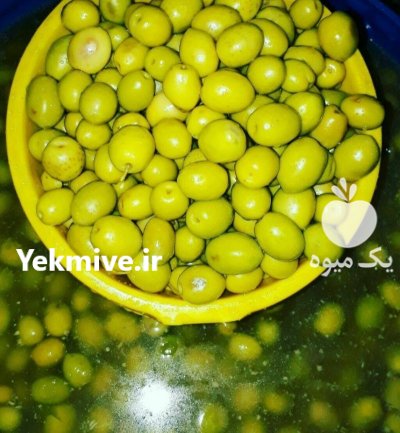زیتون کنسروی در زنجان در گروه خرید فروش عمده زیتون - سبز سیاه بندری پاکستانی طارم در یکمیوه -عکس1