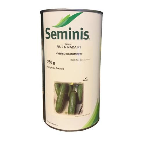 فروش بذر خیار seminis در اردبیل در گروه خرید فروش بذر - انواع محصول کشاورزی گوجه کتان میوه درخت در یکمیوه -عکس1