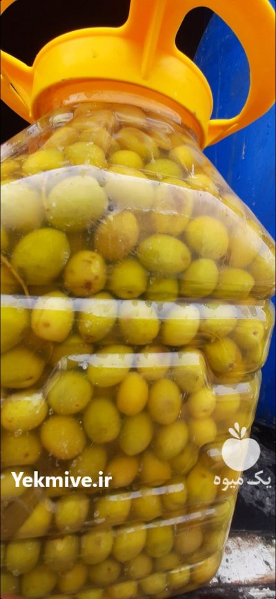 ارقام زیتون فرآوری شده طارم در آب بر در گروه خرید فروش عمده زیتون - سبز سیاه بندری پاکستانی طارم در یکمیوه -عکس3