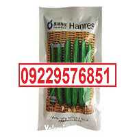 بذر خیار ویکتوریا پرفروش اصل  در کرمان  در گروه خرید فروش بذر - انواع محصول کشاورزی گوجه کتان میوه درخت در یکمیوه