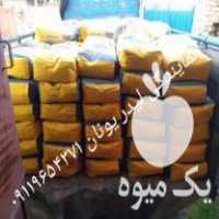 فروش نمایندگی بذر پنبه لیدر و مای ترکیه در علی آباد در گروه خرید فروش بذر - انواع محصول کشاورزی گوجه کتان میوه درخت در یکمیوه