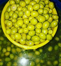 زیتون کنسروی در زنجان در گروه خرید فروش عمده زیتون - سبز سیاه بندری پاکستانی طارم در یکمیوه