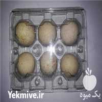 فروش تخم کبک نطفه دار در مشهد در خراسان رضوی در گروه انواع تخم ها - مرغ بوقلمون پرنده عمده کشاورزی در یکمیوه