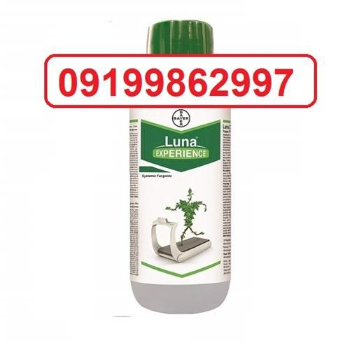 قارچ کش لونا فروش تضمینی در بوشهر در گروه خرید فروش کود و مواد شیمیایی - اوره پتاس مرغی کمپوست آهن در یکمیوه -عکس1