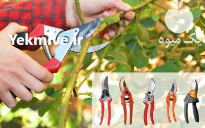 سفارش قیچی هرس دسته بلند و کوتاه در شهرکرد در گروه خرید فروش ابزار ها و تجهیزات کشاورزی - دستی برقی ماشینی بیل کلنگ در یکمیوه -عکس2