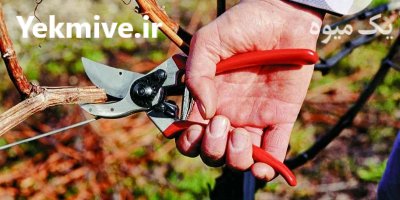 سفارش قیچی هرس دسته بلند و کوتاه در شهرکرد در گروه خرید فروش ابزار ها و تجهیزات کشاورزی - دستی برقی ماشینی بیل کلنگ در یکمیوه -عکس3
