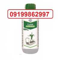 قارچ کش لونا فروش تضمینی در بوشهر در گروه خرید فروش کود و مواد شیمیایی - اوره پتاس مرغی کمپوست آهن در یکمیوه